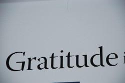 Gratitude