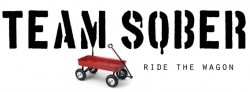 team sober - ride the wagon