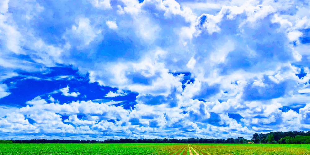 Drug Treatment Centers in Alabama: An Overview